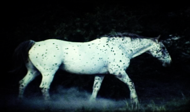 Scene from the film The Sound of Insects: Record of a Mummy