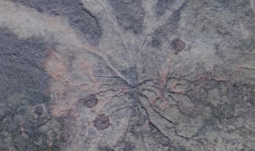 Scene from the film Osmosis