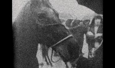Scene from the film 3 Dreams Of Horses