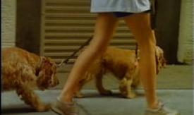 Scene from the film About Dogs And People