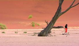 Scene from the film Namibia Crossings