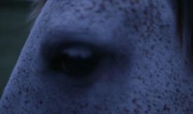 Scene from the film The Smelting of Time