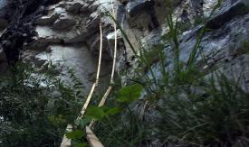 Scene from the film Stick Climbing