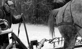 Scene from the film Workhorse