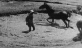 Scene from the film Horse of Mud