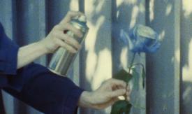 Scene from the film Blue Rose