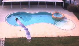 Scene from the film Self-Portrait