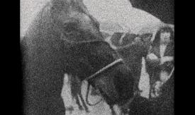 Scene from the film 3 Dreams Of Horses