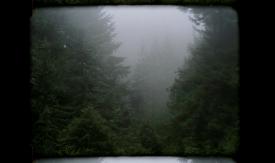 Scene from the film Cry Love