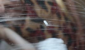 Scene from the film Babajanja