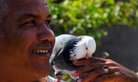 Scene from the film Companion