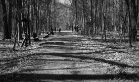 Scene from the film Self-Portrait on a Strike Background
