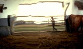 Scene from the film Elegy