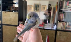 Scene from the film Birdie