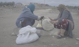 Scene from the film Save the Olive Tree