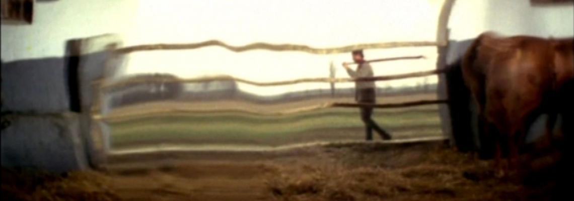 Scene from the film Elegy