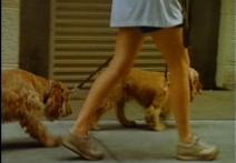 Scene from the film About Dogs And People