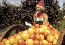 Scene from the film JAFFA, the Orange's Clockwork