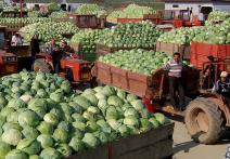 Scene from the film Cabbage, Potatoes and Other Demons