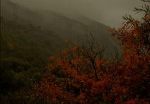 Scene from the film Autumn Colors