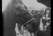 Scene from the film 3 Dreams Of Horses