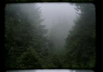 Scene from the film Cry Love