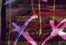 Scene from the film XX