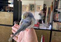 Scene from the film Birdie